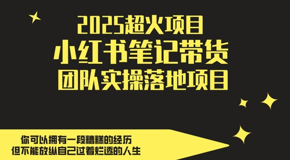 2025超火项目，副业最佳选择，小红书笔记带货团队实操落地项目，，轻松日入5张bbb|2025年做副业有什么书籍推荐