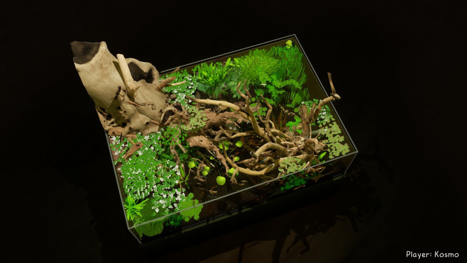 养鱼模拟器/Fish Game|小鱼模拟器中文版下载