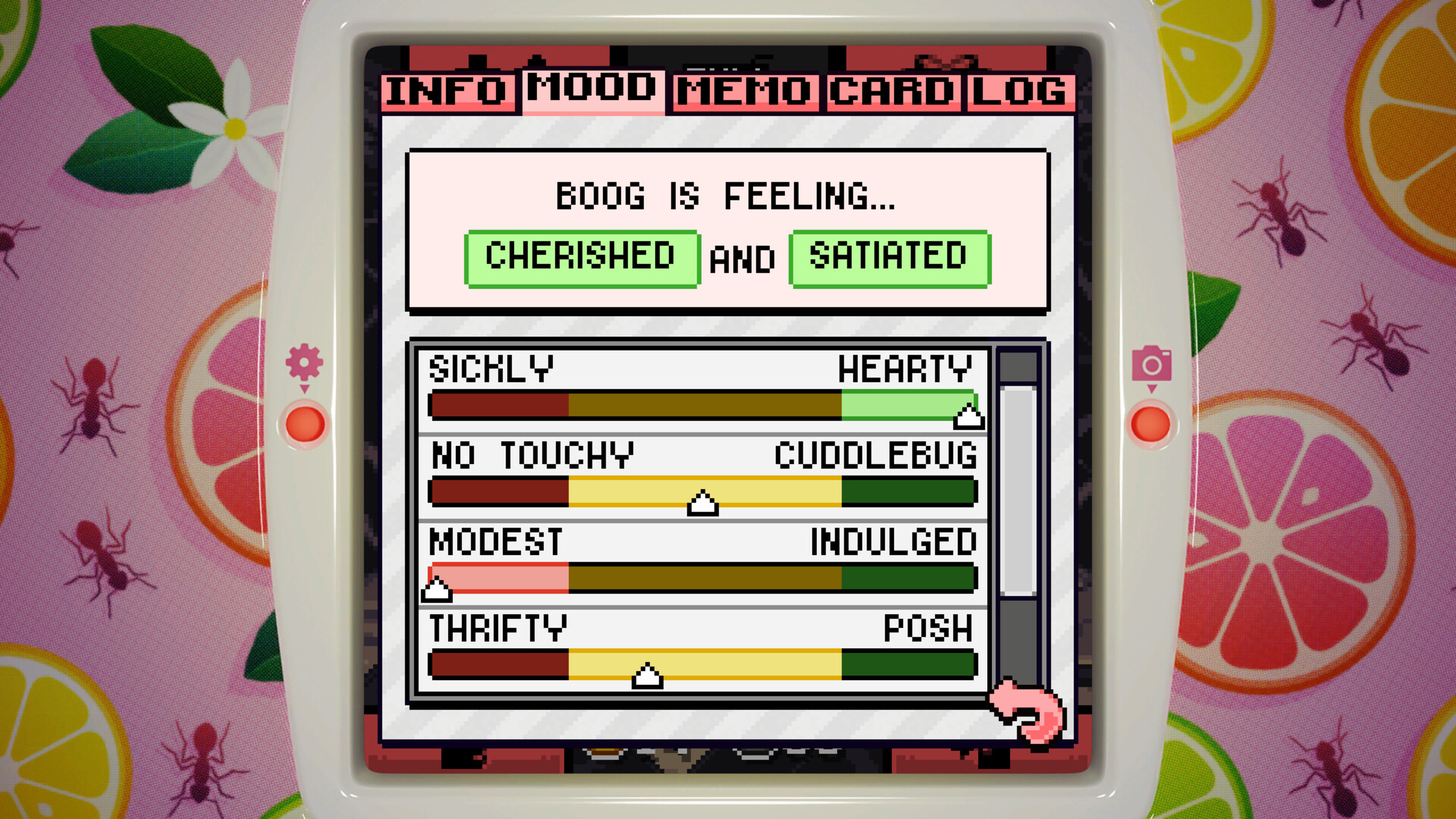 昆虫观察日记/Bugaboo Pocket|昆虫观察日记作文