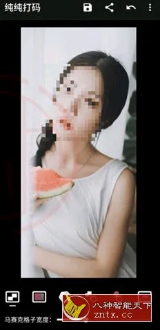 纯纯打码v4.10.2高级版