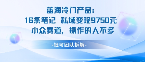 蓝海项目：16条笔记私域变现9750米小众赛道操作的人不多|成人市场里的蓝海男性生殖大健康赛道