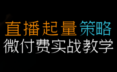 半野老师·直播带货起量与微付费必学课视频号|熊猫娃娃拉克丝直播带货主题站