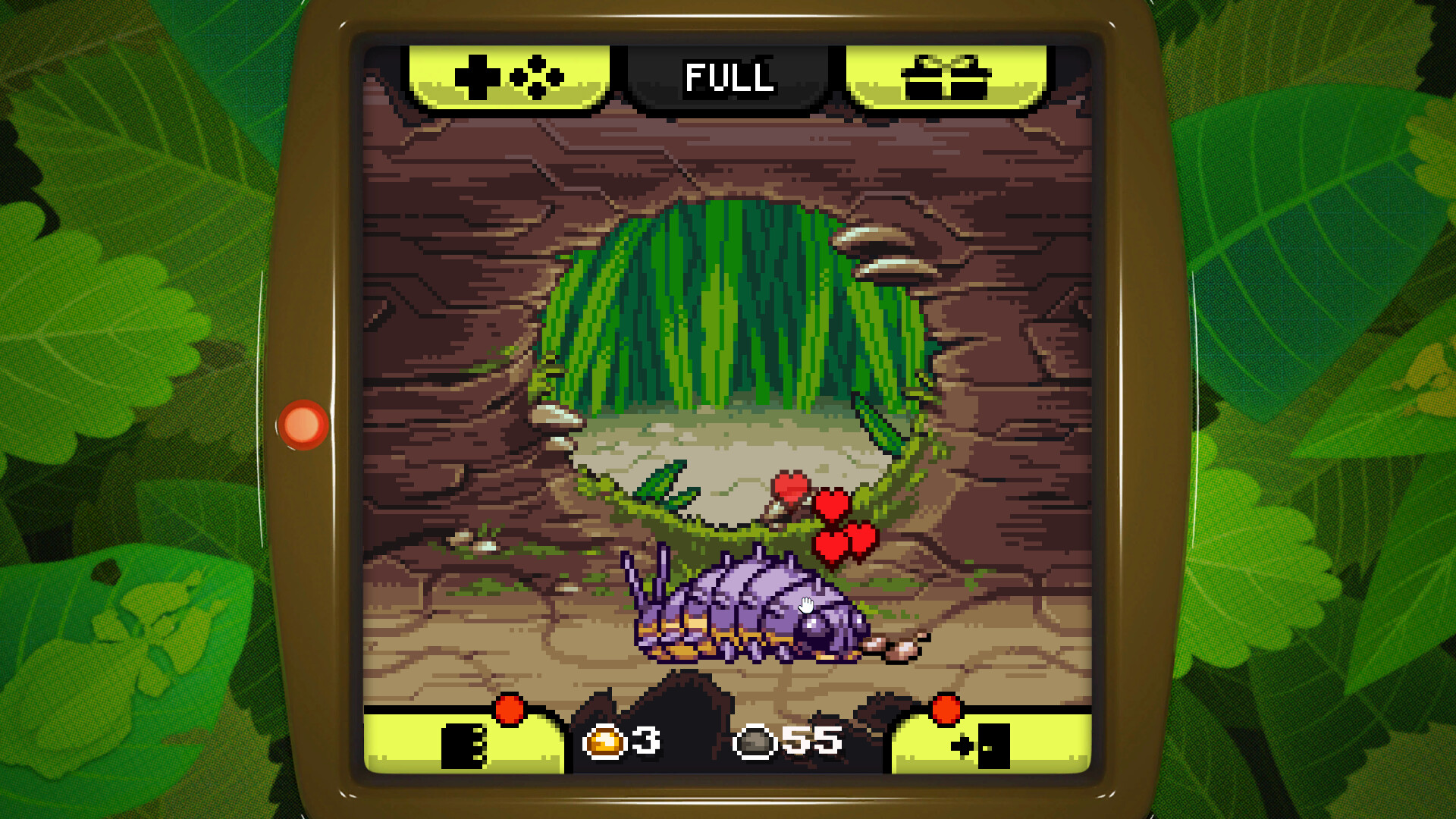 昆虫观察日记/Bugaboo Pocket|昆虫观察日记作文