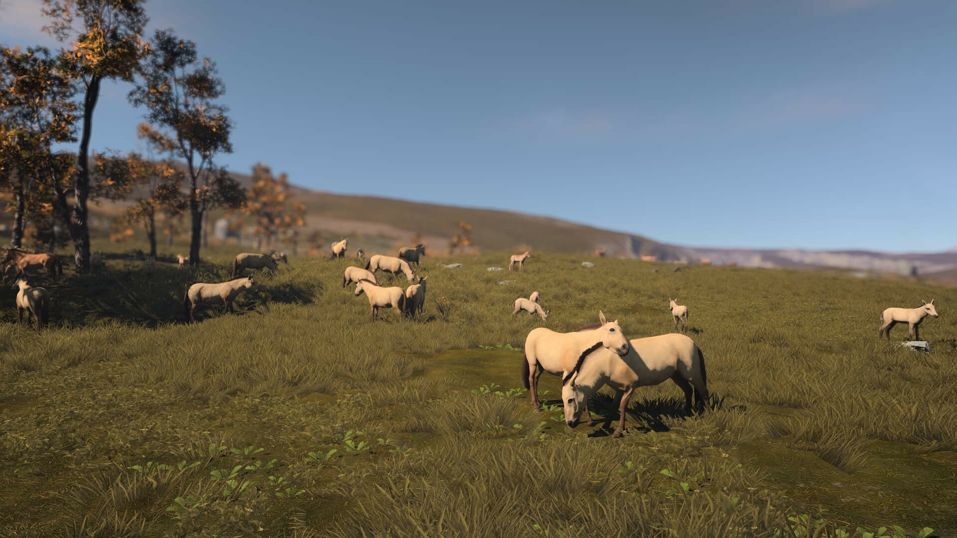 古城/古代城市/Ancient Cities|古城市百科