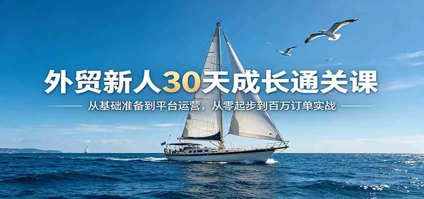 外贸新人30天成长通关课：从基础准备到平台运营，从零起步到百万订单实战