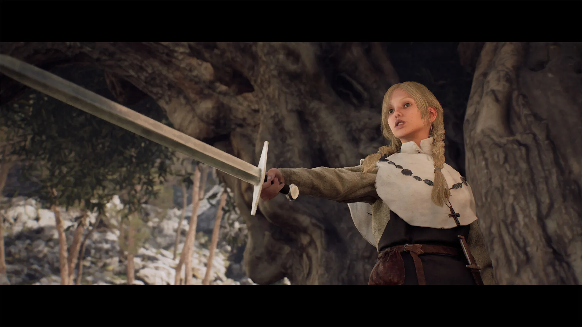 1348：圣誓/1348 Ex Voto