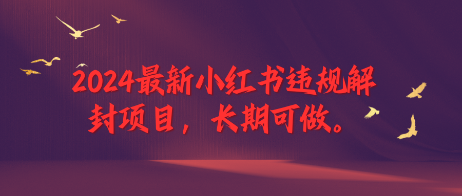 2024最新小红书违规解封项目，一个可以做到退休的项目|小红书违规注销可以重新开始吗