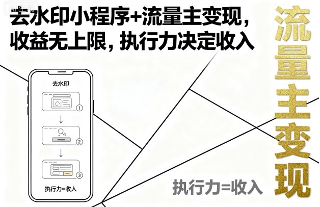 去水印小程序+流量主变现，收益无上限，执行力决定收入|去水印小程序怎么做