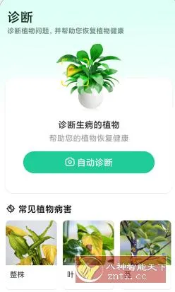 Plant Parent 植物养护v1.105高级版