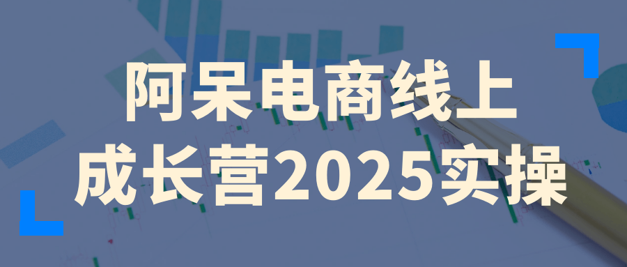 阿呆电商线上成长营2025实操|阿呆科技有限公司