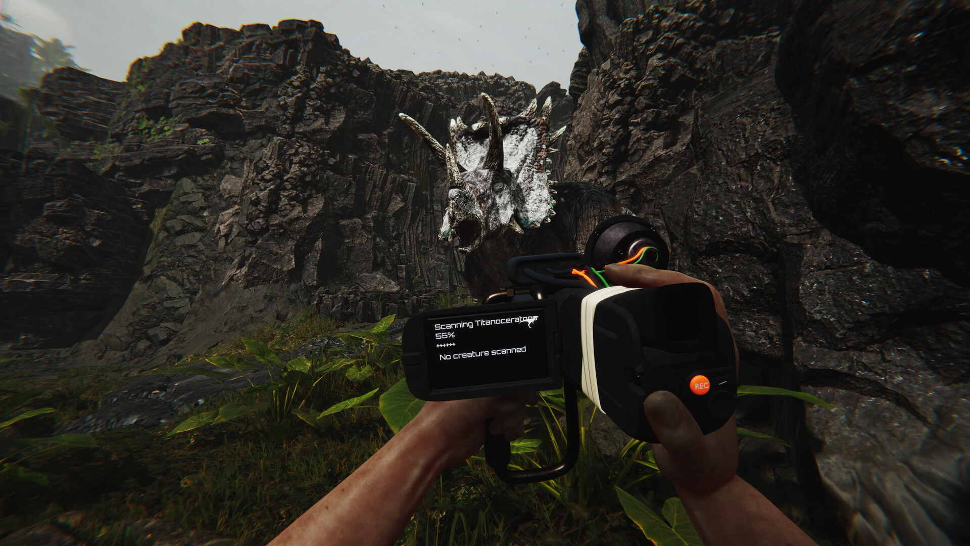 蛮荒计划/FEROCIOUS|蛮荒计划游戏