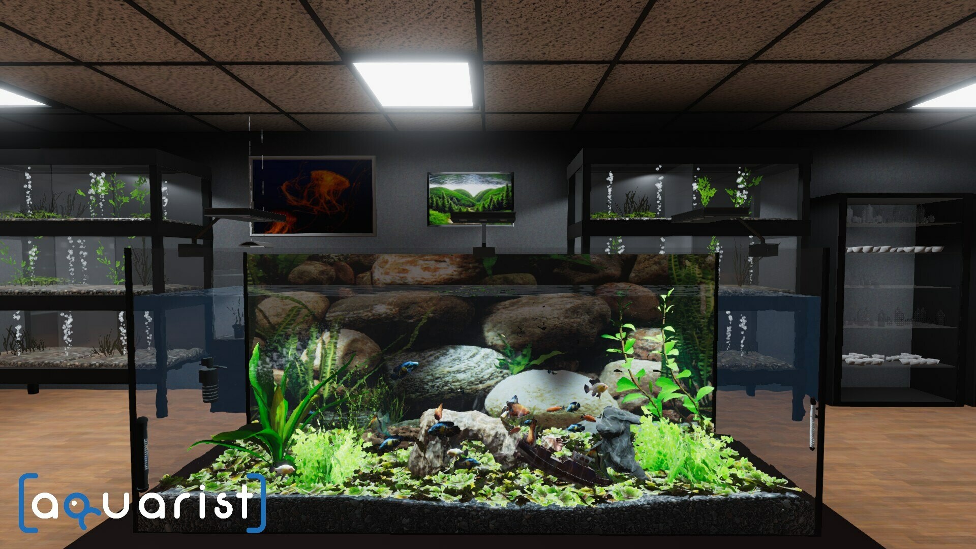 Aquarist - 建造水族馆,养鱼,发展你的事业! Aquarist - 建造水族馆,养鱼,发展你的事业!