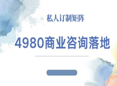 4980商业咨询师落地课程-ip运营高客单教程|商业咨询的一般流程