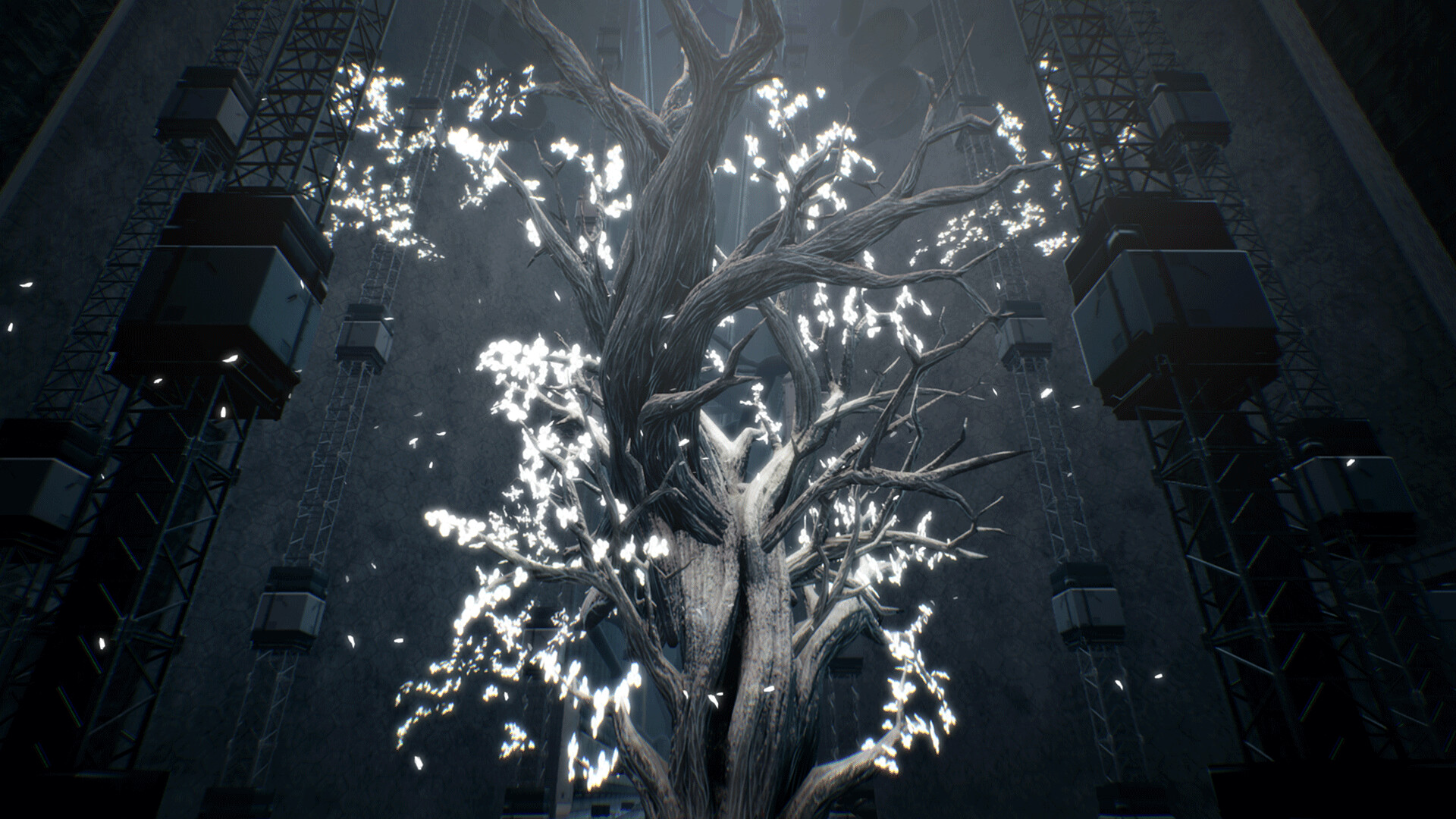 玩偶之巢/Dolls Nest|玩偶之巢/Dolls Nstatic