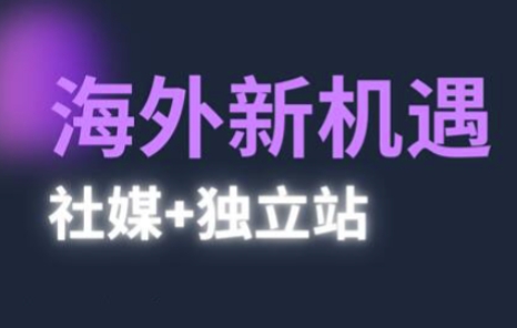 2025出海新机遇(社媒+独立站)，海外新机遇，实现独立站的高效运营与出海|2025年出海新媒体玩法