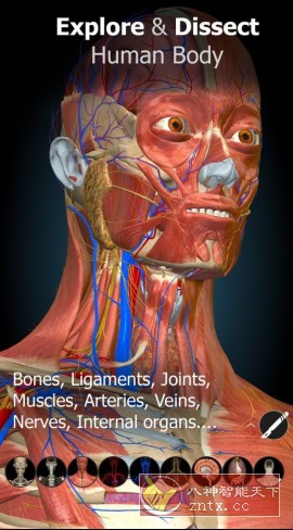 Anatomy Learning 3D解剖学v3.1.493高级版