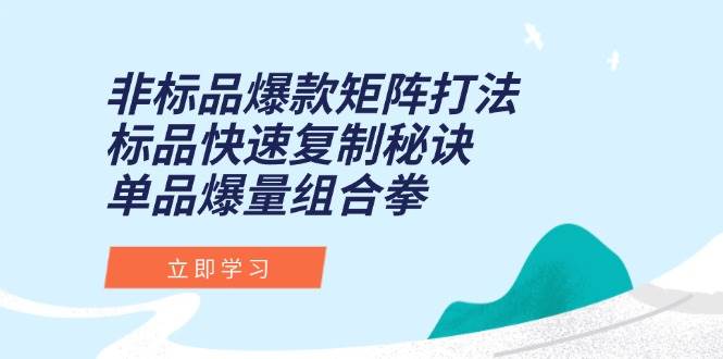(15068期)非标品爆款矩阵打法,标品快速复制秘诀,单品爆量组合拳 (15068期)非标品爆款矩阵打法,标品快速复制秘诀,单品爆量组合拳