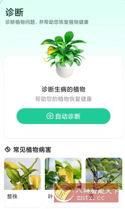 Plant Parent 植物养护v1.102高级版|植物养护方案怎么做