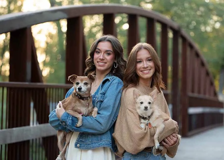 （17403期）大师级GTG出品-老友记系列AI自适应预设The Friends Preset Collection