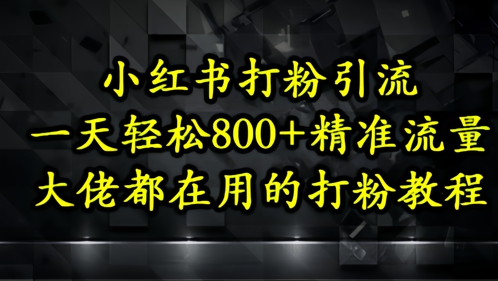小红书打粉引流，一天轻松500+精准流量，大佬都在用的打粉教程bbb|小红书粉丝流量怎么赚钱