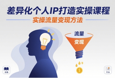 差异化个人IP打造实操课程，实操流量变现方法|差异化个人ip打造实操课程,实操流量变现方法研究