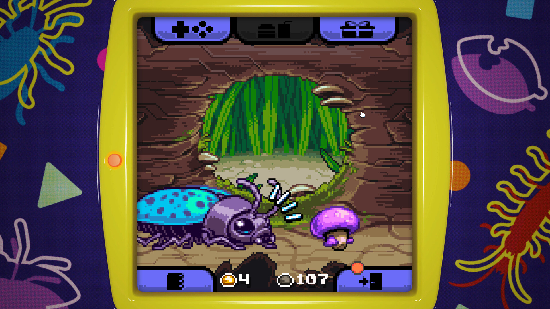 昆虫观察日记/Bugaboo Pocket|昆虫观察日记作文