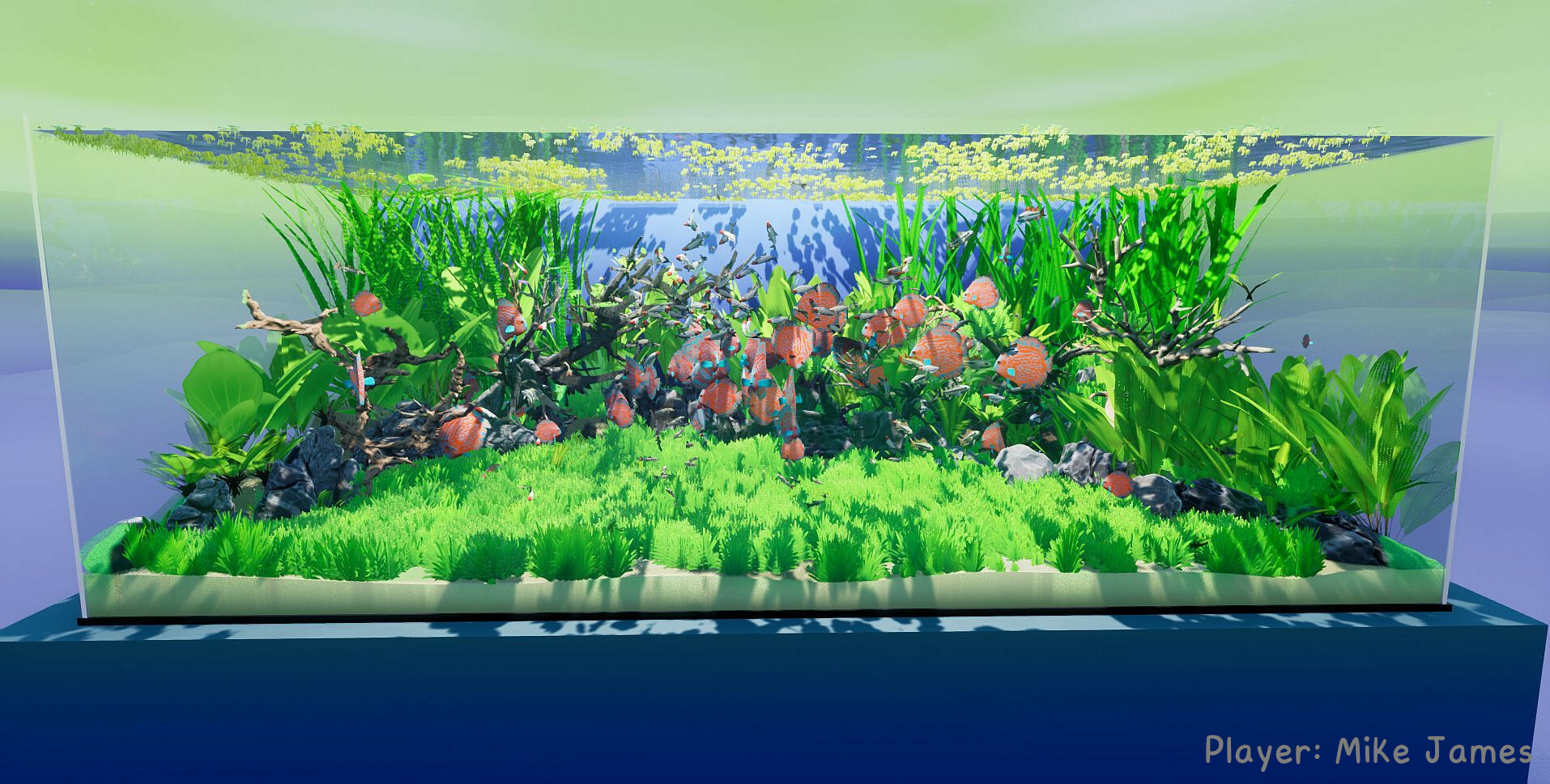 养鱼模拟器/Fish Game|小鱼模拟器中文版下载