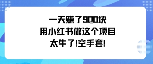 一天挣了9张用小红书做这个项目太牛了，空手套|小红书做手工挣钱是真的吗