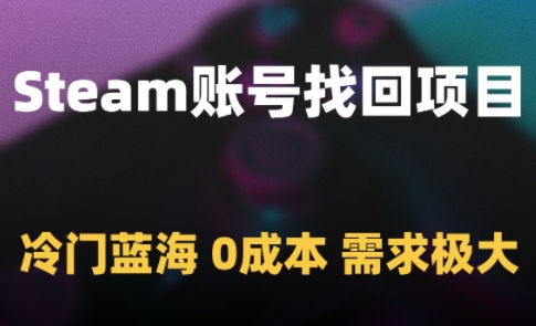 Steam账号找回项目，冷门蓝海，0成本，需求极大|载入 steam 回顾时出现问题。请几分钟后重试