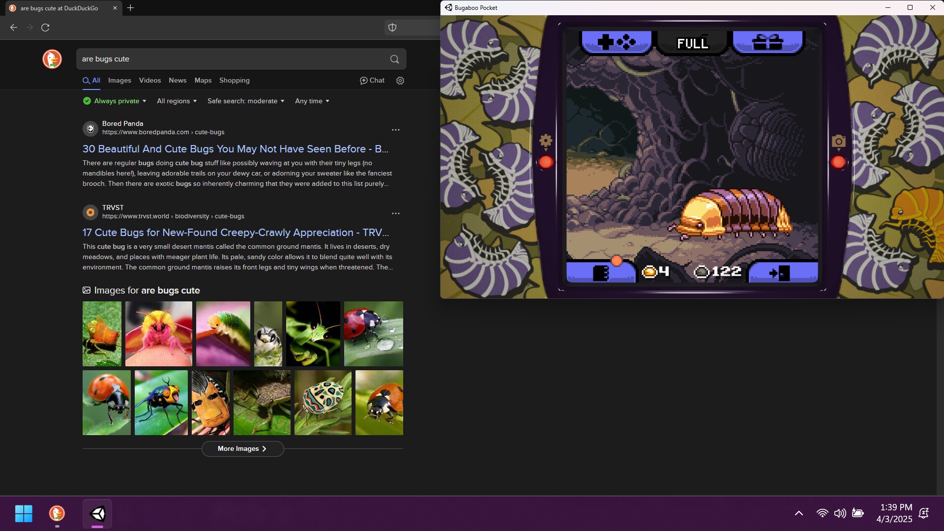 昆虫观察日记/Bugaboo Pocket|昆虫观察日记作文