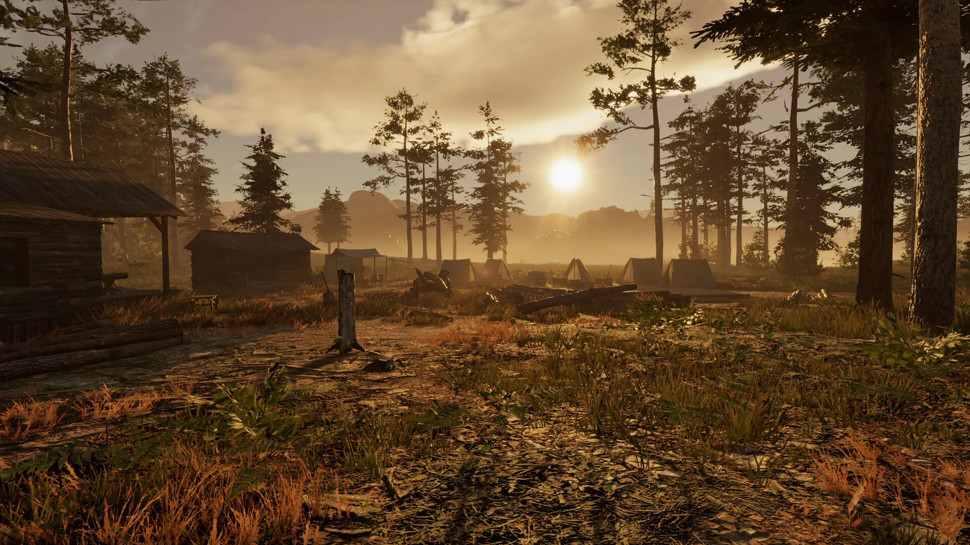 狂野西部时代/Wild West Dynasty