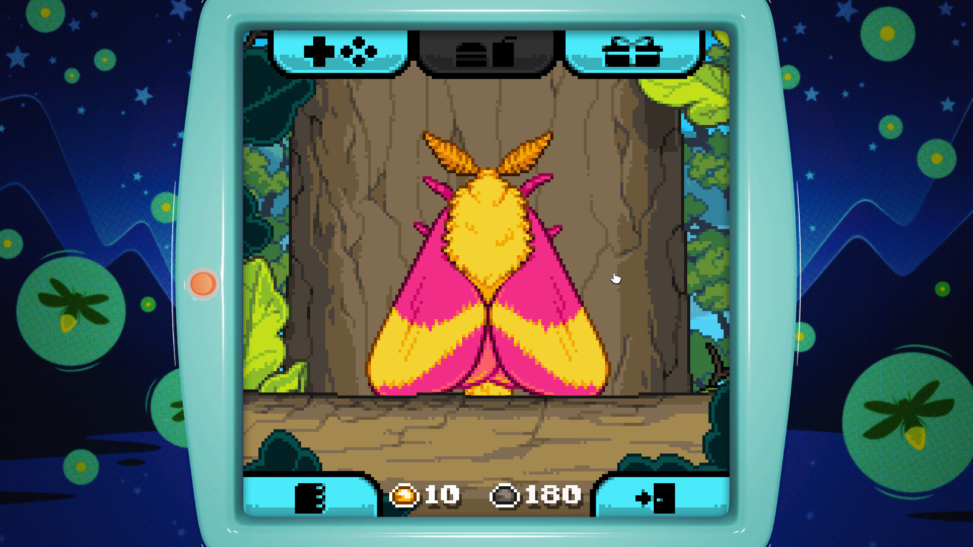 昆虫观察日记/Bugaboo Pocket|昆虫观察日记作文