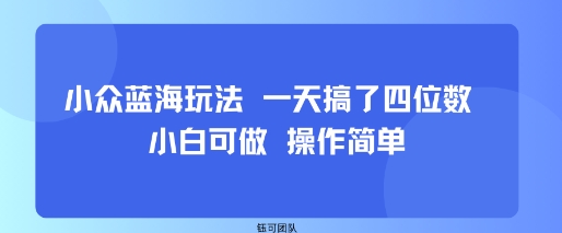 小众蓝海玩法 一天搞了四位数 小白可做 操作简单|什么是蓝海玩法