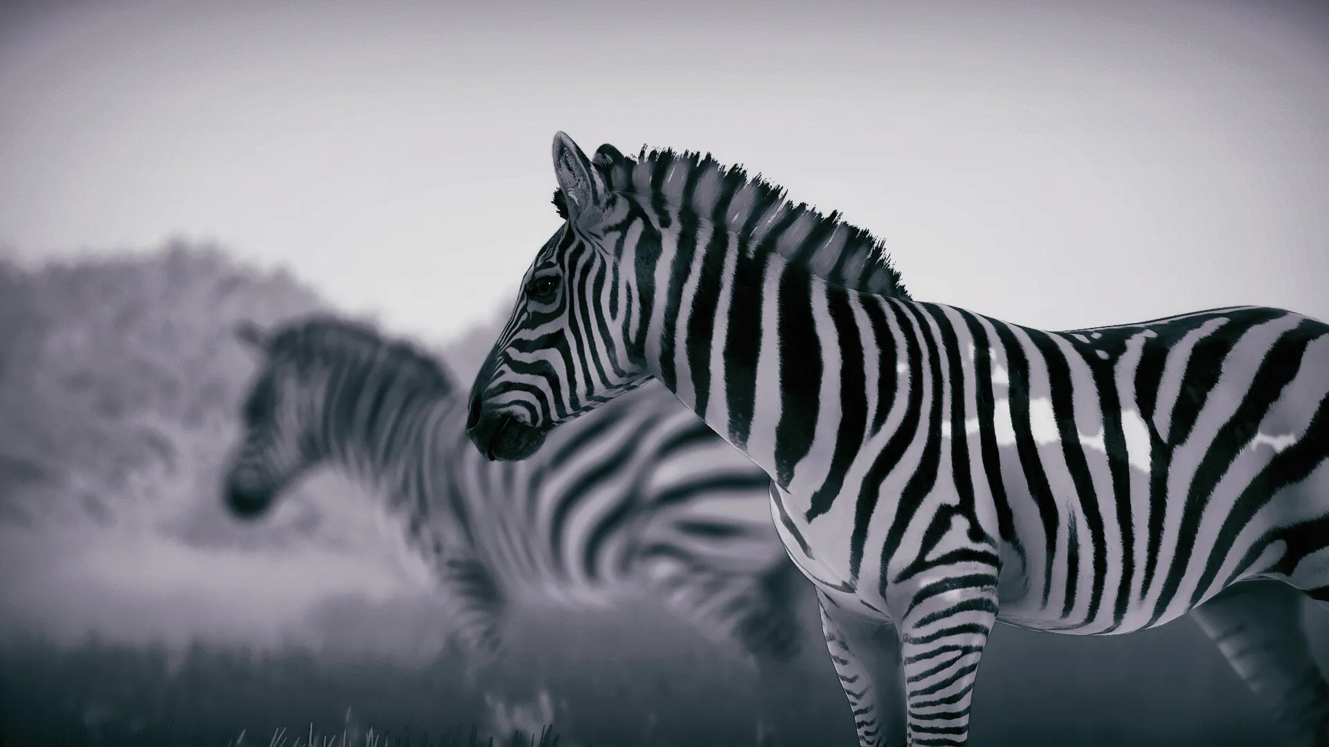 幽居之境/Seclusa