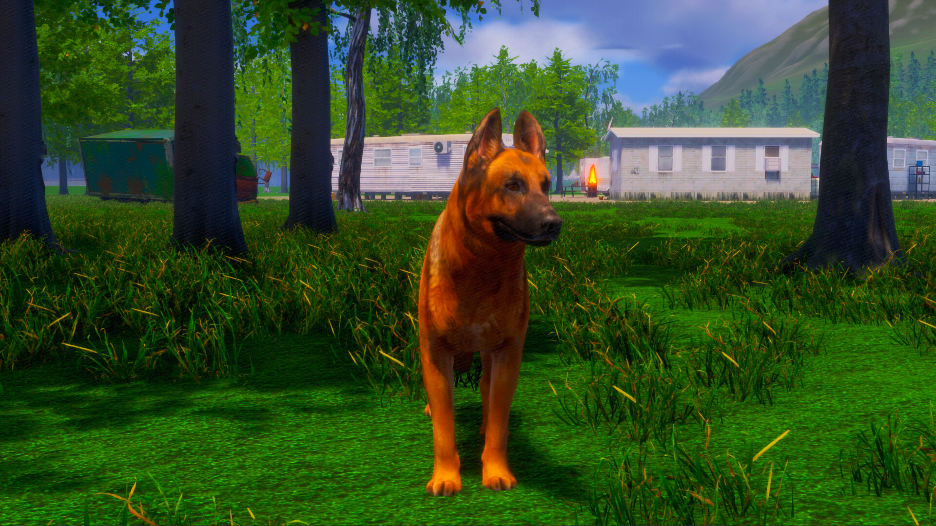 迷途狗爪/Lost Paws|迷途狗爪/Lost Pasnp