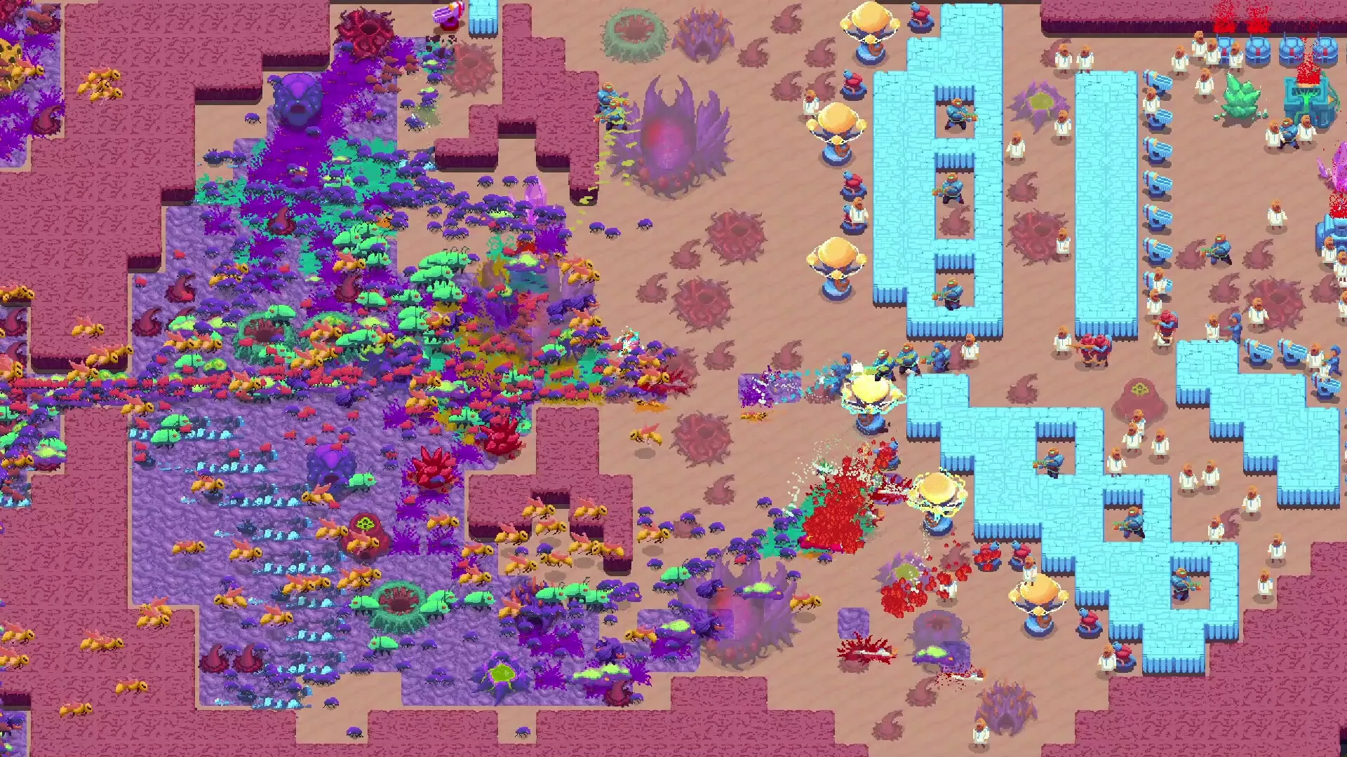 虫群霸主2/Buggos 2