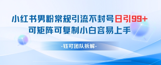 小红书男粉常规引流不封号日引99+变现简单 可矩阵可复制小白容易上手 小红书男粉常规引流不封号日引99+变现简单 可矩阵可复制小白容易上手
