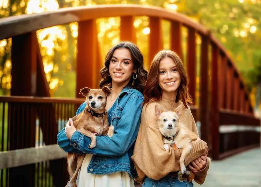 （17403期）大师级GTG出品-老友记系列AI自适应预设The Friends Preset Collection