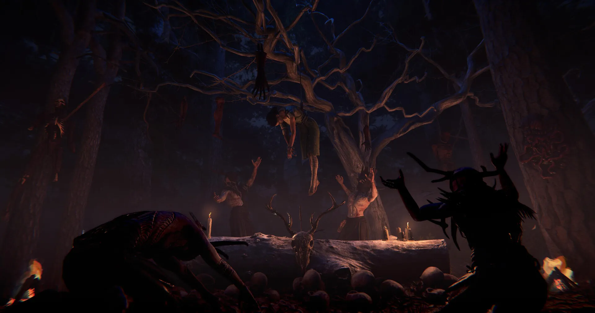 覆巢之地/Nested Lands