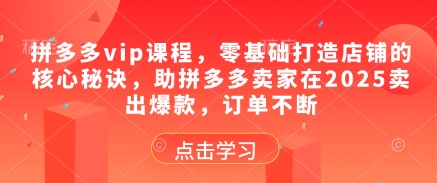 拼多多vip课程，零基础打造店铺的核心秘诀，助拼多多卖家在2025卖出爆款，订单不断bbb|拼多多普通企业店铺升级为专营店/专卖店/旗舰店需要满足以下哪些条件