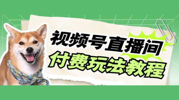 视频号美女付费无人直播，轻松日入500+（详细玩法教程）|微信视频号可以无人直播吗