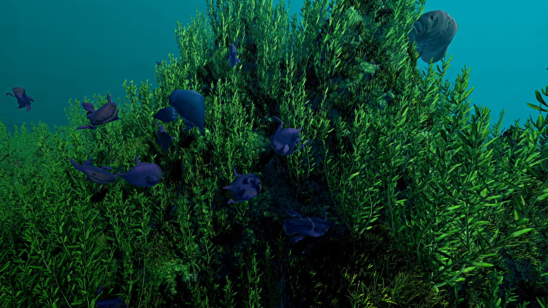 生态系统/Ecosystem|创新生态系统理论innovation ecosystem theory