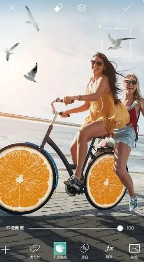 Picsart美易 v29.5.6会员版