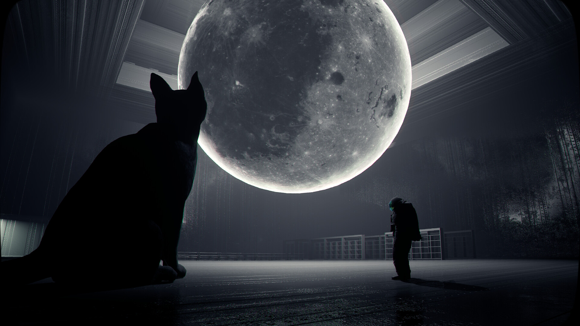 零号使者/Emissary Zero,护花使者