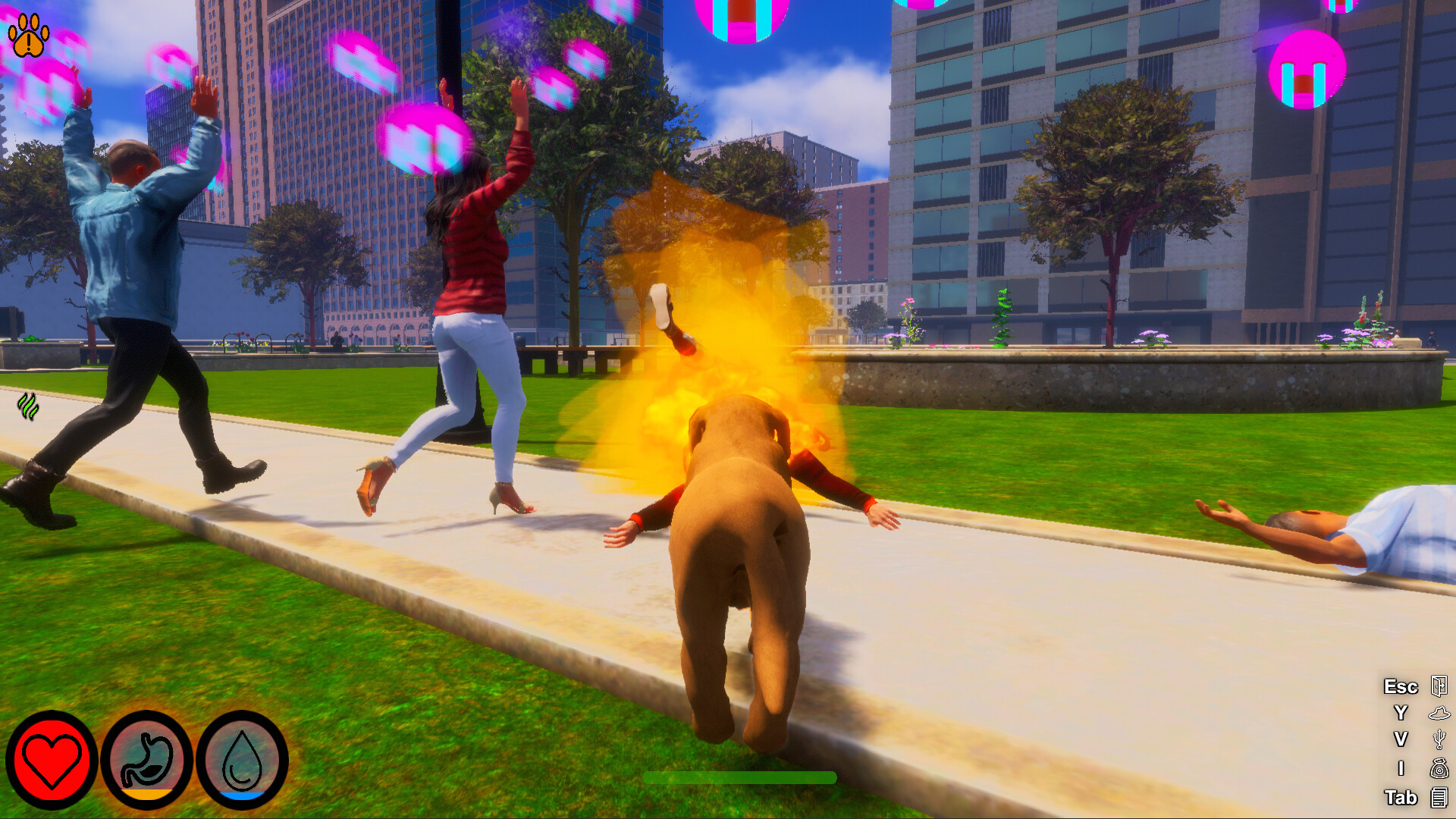 迷途狗爪/Lost Paws|迷途狗爪/Lost Pasnp